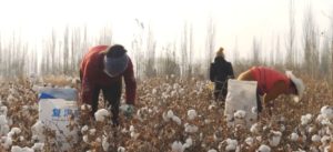 China: Tomaten, Uiguren, US-Importsperren