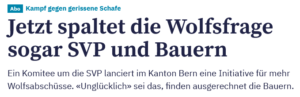 Eine Zeitung hat etwas gegen kluge Schafe