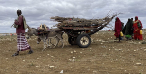 Immer mehr Hunger in Somalia: Medien informieren spärlich