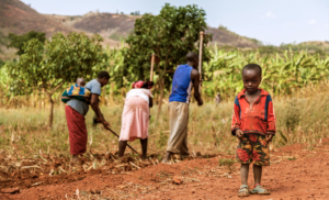 Ein Afrika ohne Hunger: Leere Versprechen von Konzernen