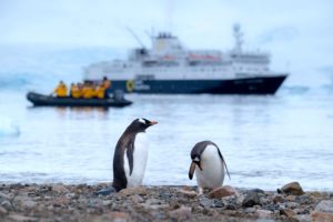 Überlaufene Wildnis: Immer mehr Touristen am Südpol