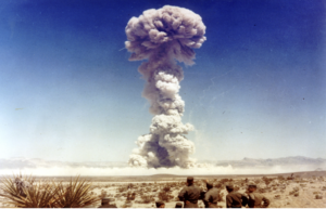 Langzeitfolgen von Atombombentests: Verstrahlte Wildschweine