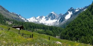 Vinschgau: Der Wind sorgt für Pestizidbelastung bis weit weg