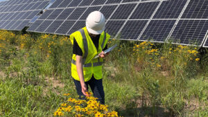 Bauern profitieren von benachbarten Solarfarmen