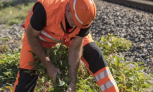 Die Fünf-Punkte-Strategie der SBB besteht aus zwei Punkten