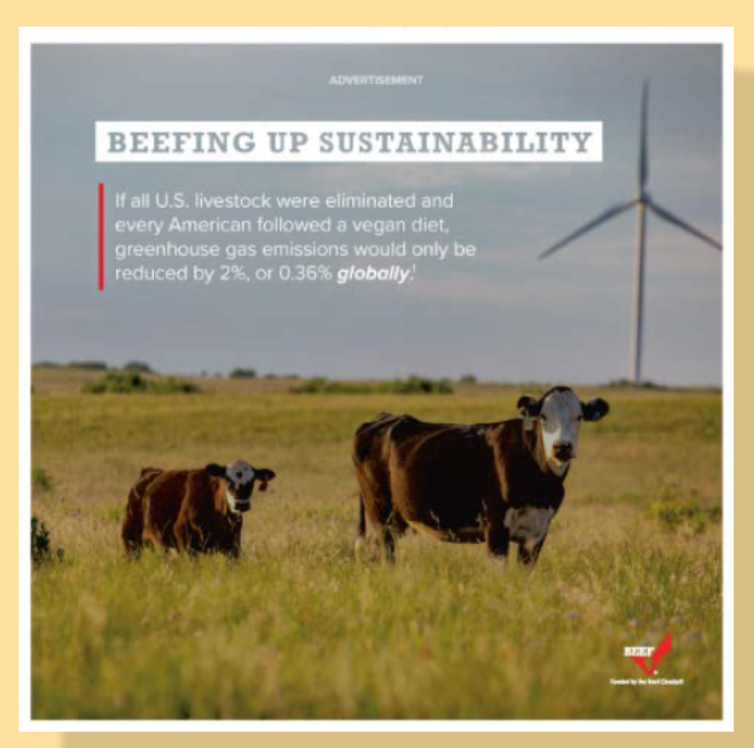 Beefing up sustainability S35