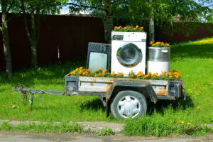 Recycling-Bakterien holen wertvolle Metalle aus dem Müll