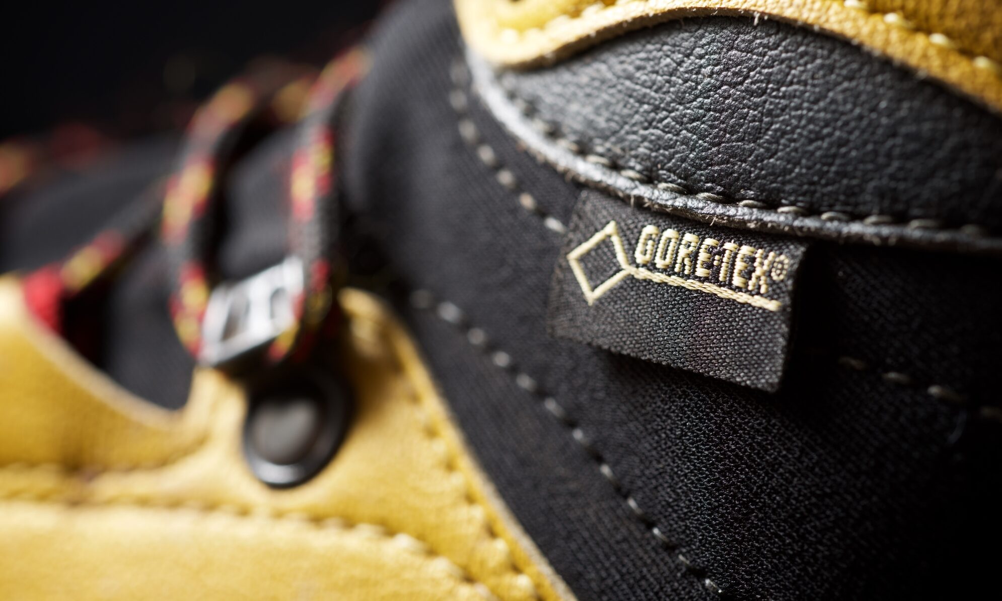 Gore Tex logo view